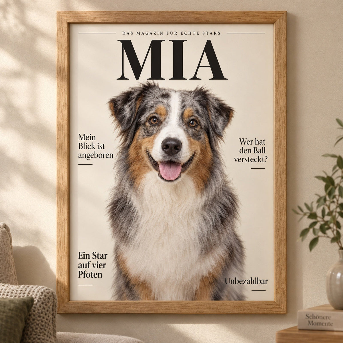 Australian Shepherd in Blue Merle auf einem Magazin-Cover im Holzrahmen