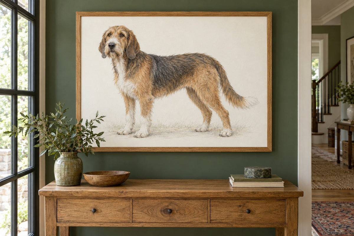 Bosnischer Barak (Stichelhaariger Bosnischer Laufhund) als Wandbild im Stil Minimal, feine Farbzeichnung, Raum: grüner Flur