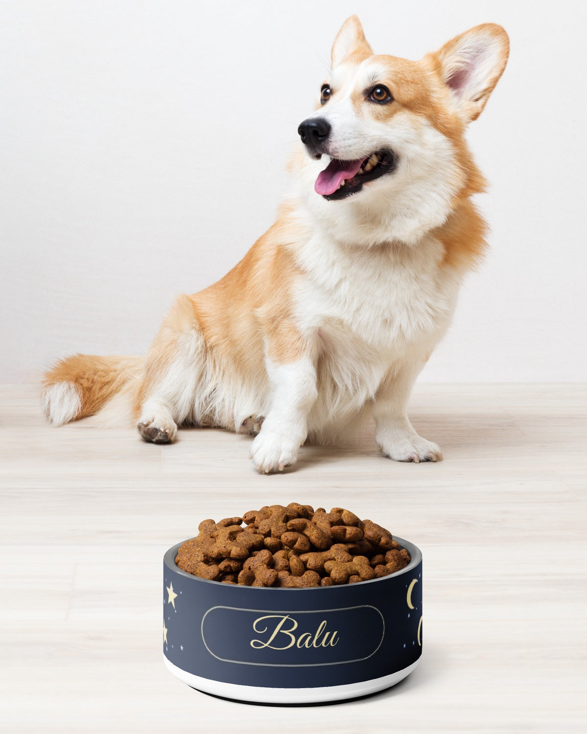 Futternapf mit Sternen und Monden und Namen Balu, Corgi sitzt daneben