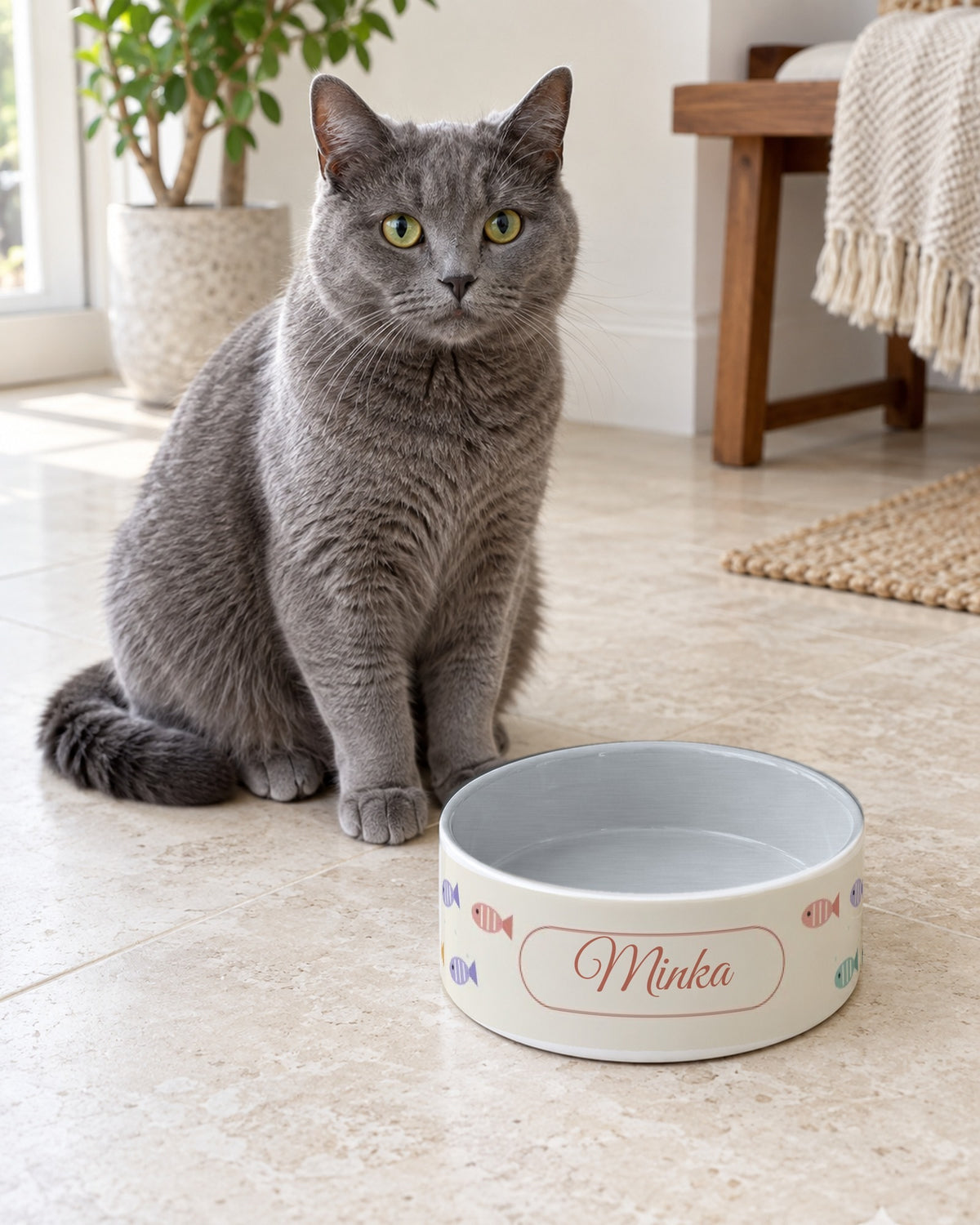 Futternapf mit bunten Fischen und Namen Minka, graue Katze daneben