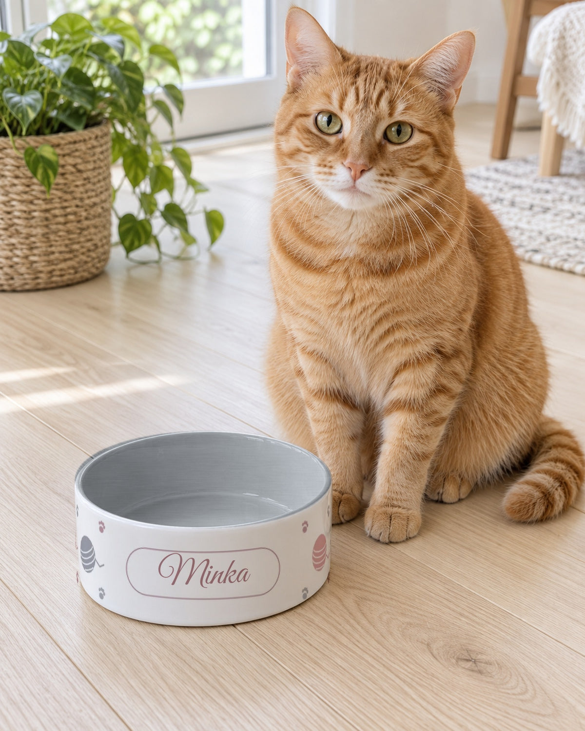 Futternapf mit Wollknäueln und Namen Minka, rote Katze daneben