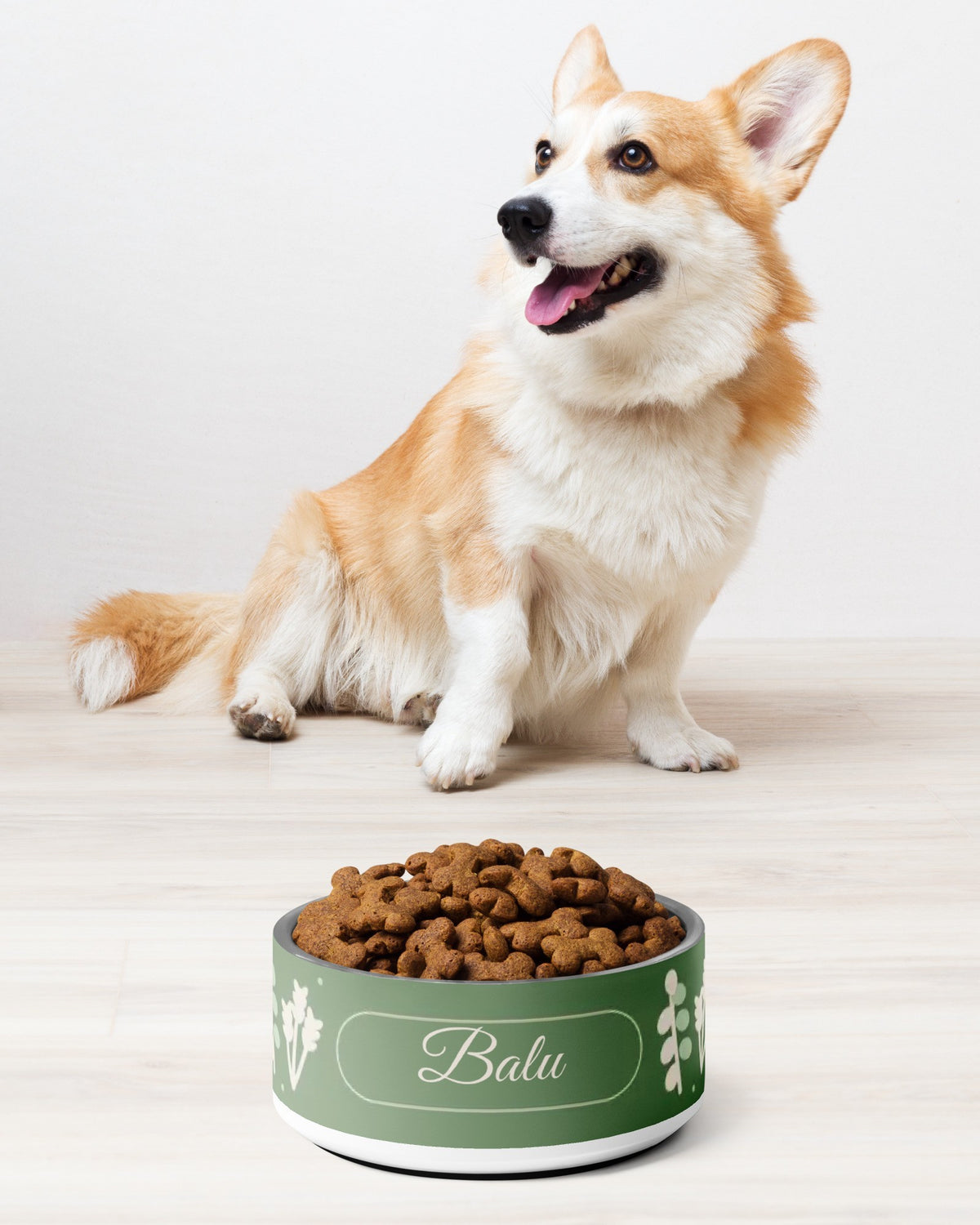 Futternapf mit botanischem Band und Namen Balu, Corgi sitzt daneben