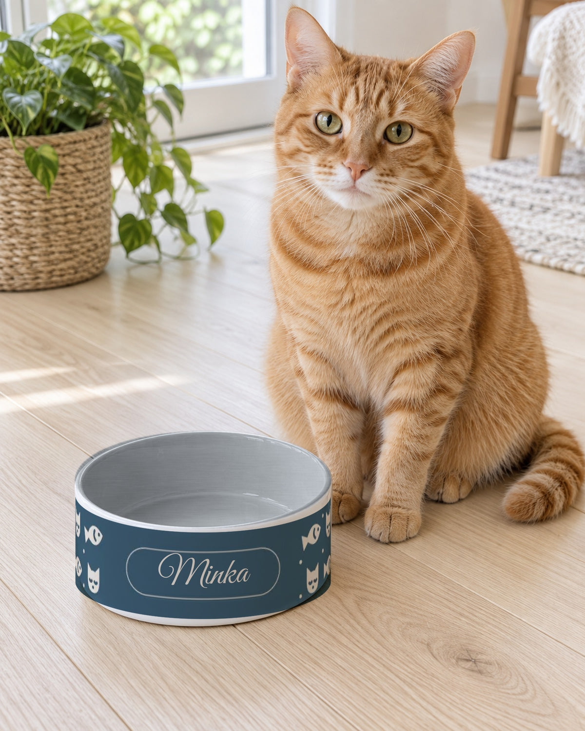 Futternapf für Katzen mit blauem Fischband und dem Namen Minka, rote Katze daneben