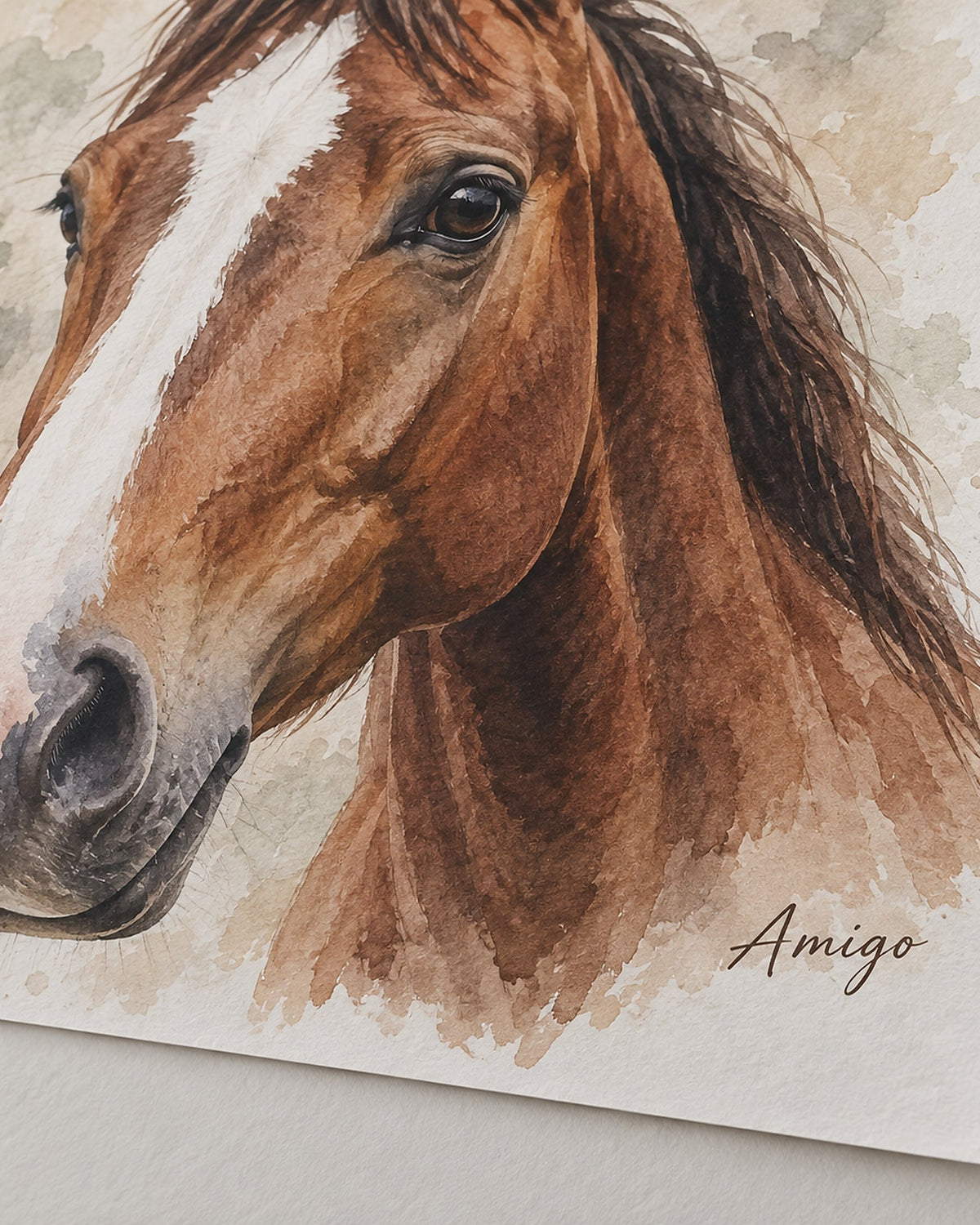 Nahaufnahme eines Pferdeportraits im Aquarell-Stil auf Poster mit Namen Amigo