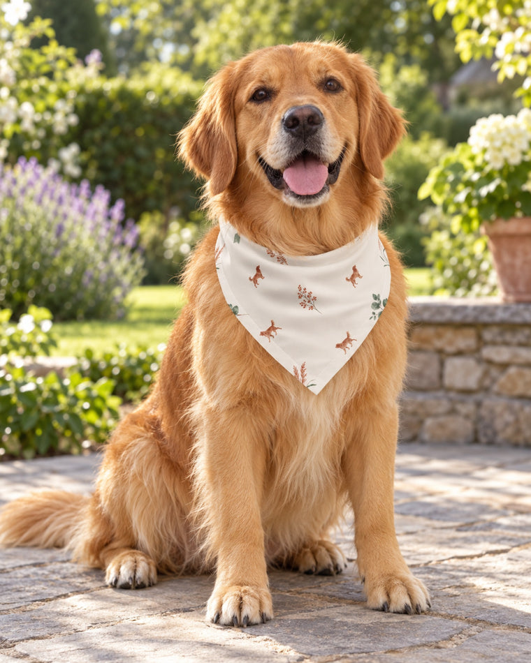 Golden Retriever trägt das Hundehalstuch mit Hunden und Eukalyptus auf der Terrasse