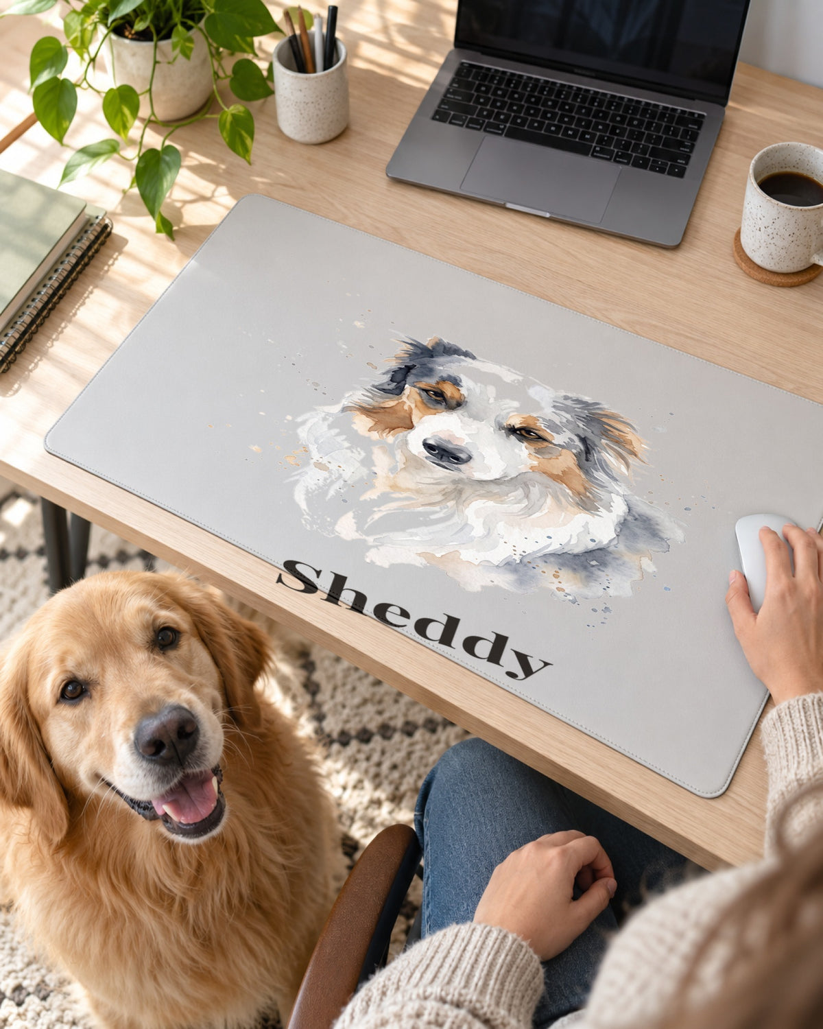 Mauspad mit Hundeportrait im Stil Aquarell und dem Namen Sheddy auf dem Schreibtisch, ein Hund schaut ins Bild
