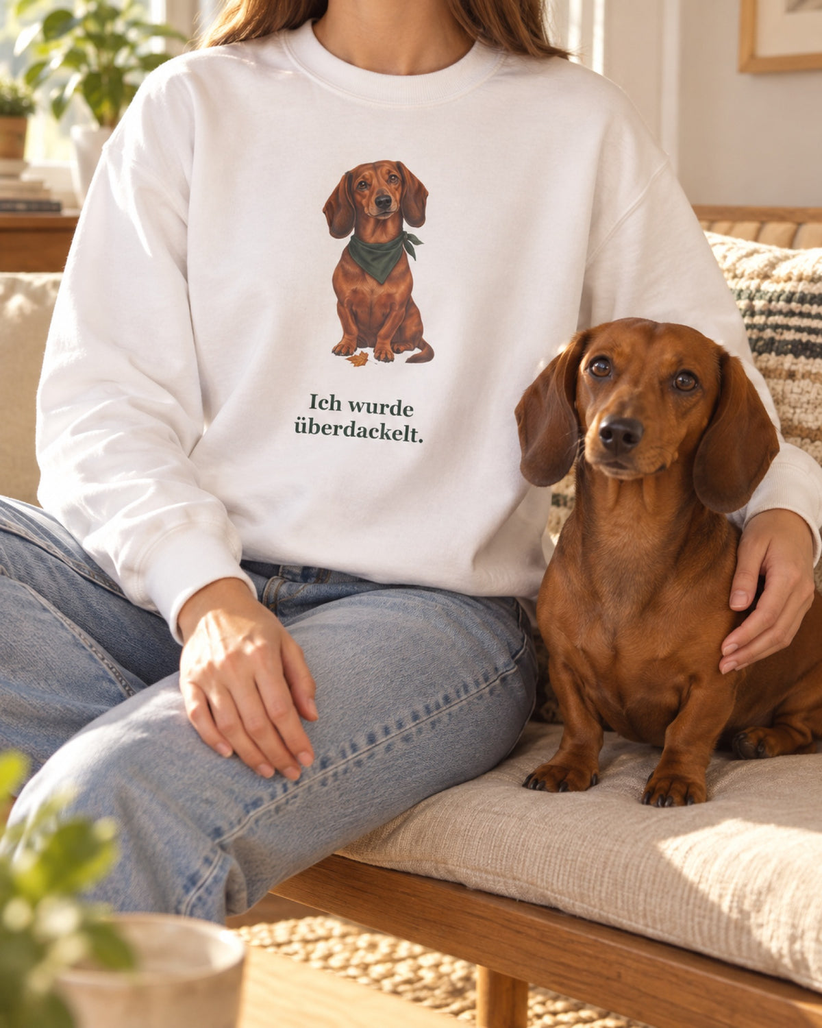 Dackel-Sweatshirt „Ich wurde überdackelt.“ getragen, Dackel sitzt daneben