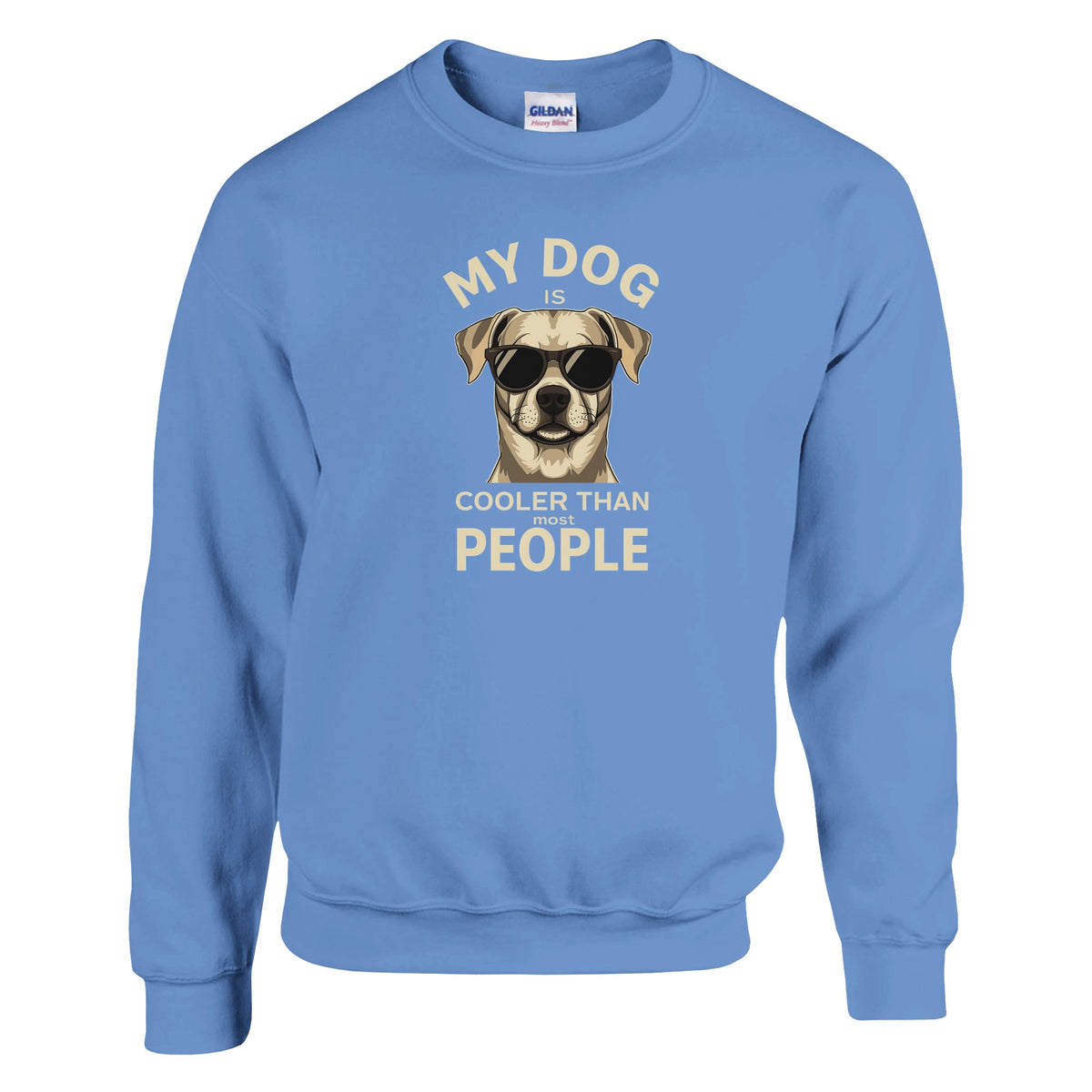 My Dog Is Cooler Than Most People Sweatshirt