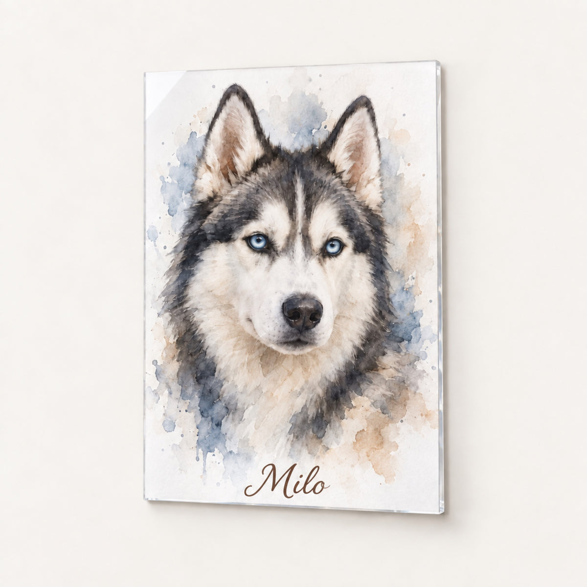 Hundeportrait – Acrylglas – Aquarell, Siberian Husky
