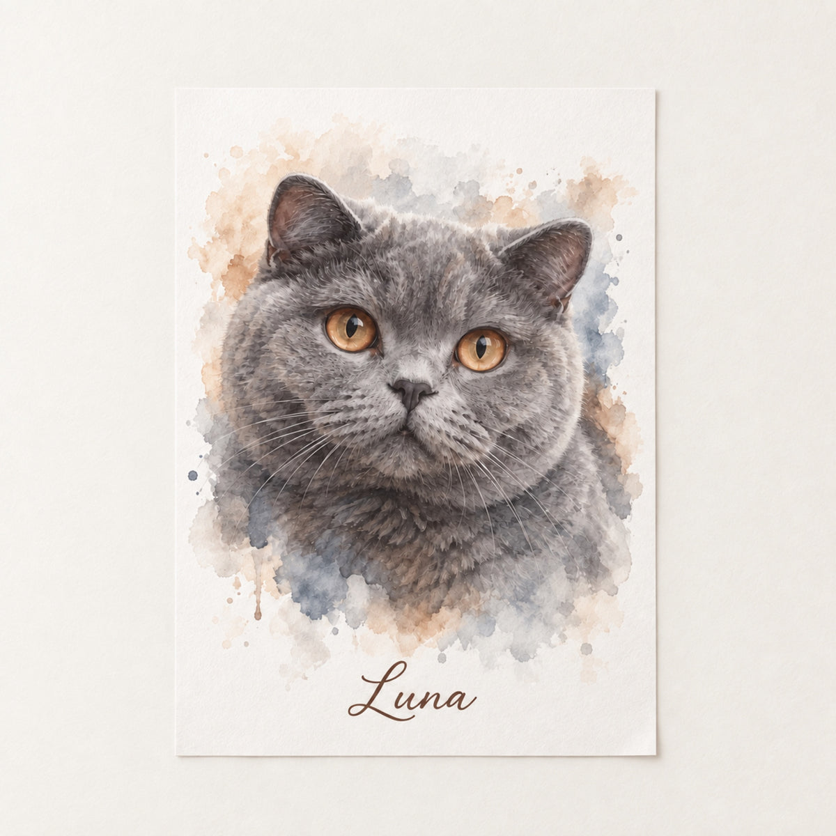 Katzenportrait – Poster – Aquarell, Britisch Kurzhaar