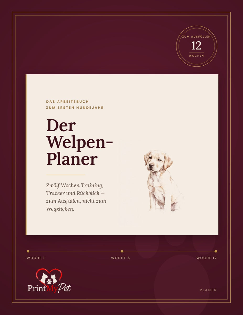 Der Welpen-Planer: Das Arbeitsbuch zum ersten Hundejahr – Cover