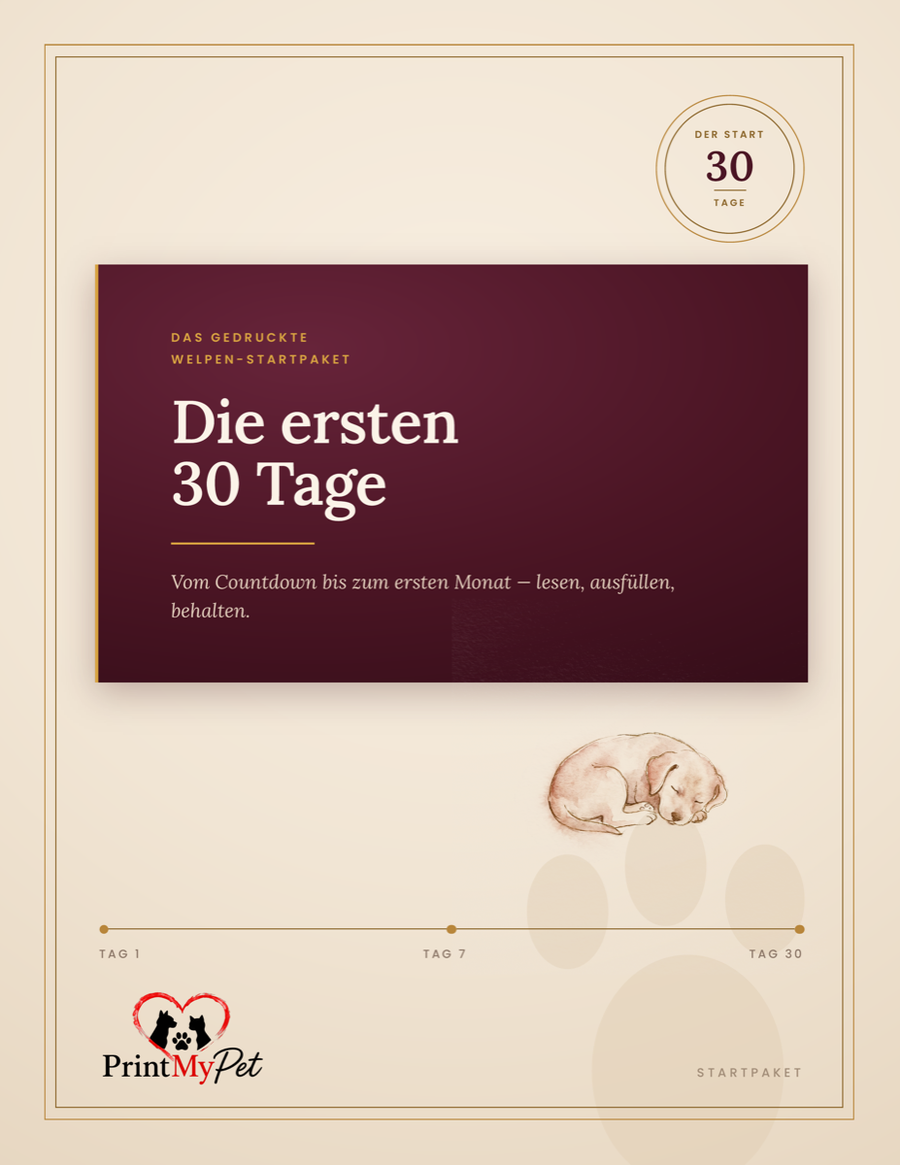 Die ersten 30 Tage mit Welpe