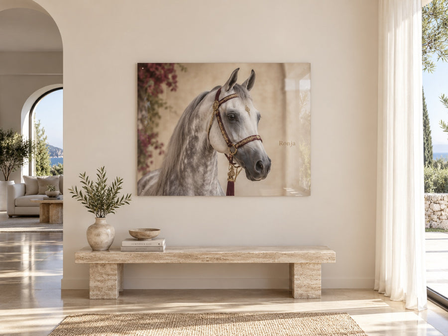 Schimmel mit Halfter als Royal-Portrait auf Acrylglas über einer Steinbank