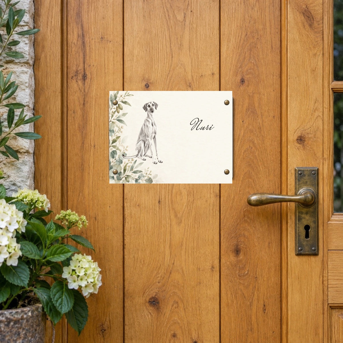 Hunde-Türschild mit Sloughi Nuri an einer Landhaustür aus Holz