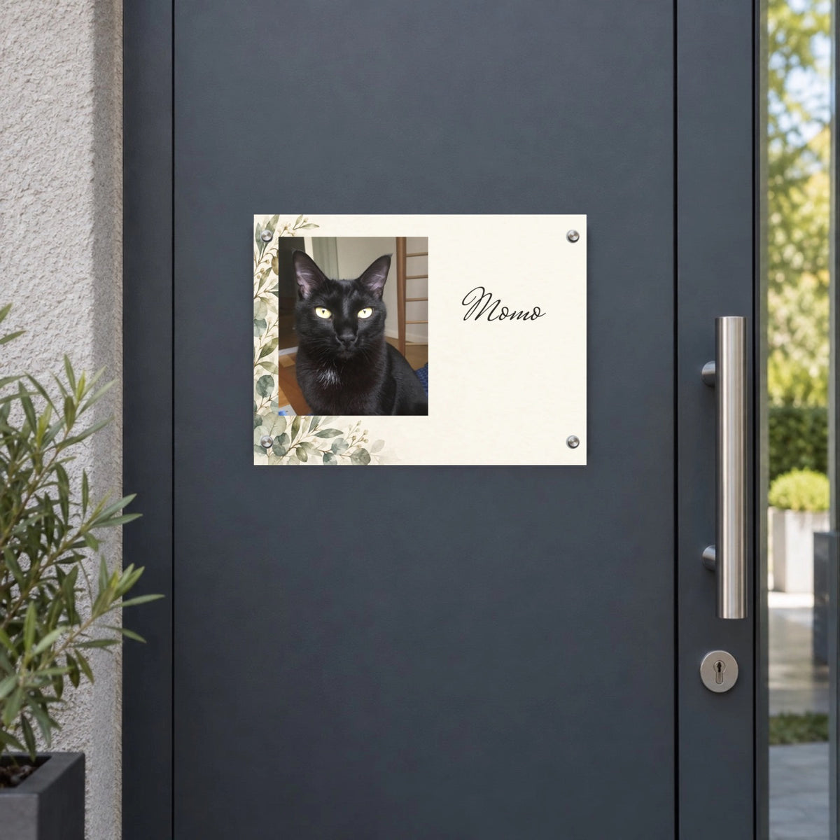 Katzen-Türschild mit Katze Momo an einer modernen Anthrazittür
