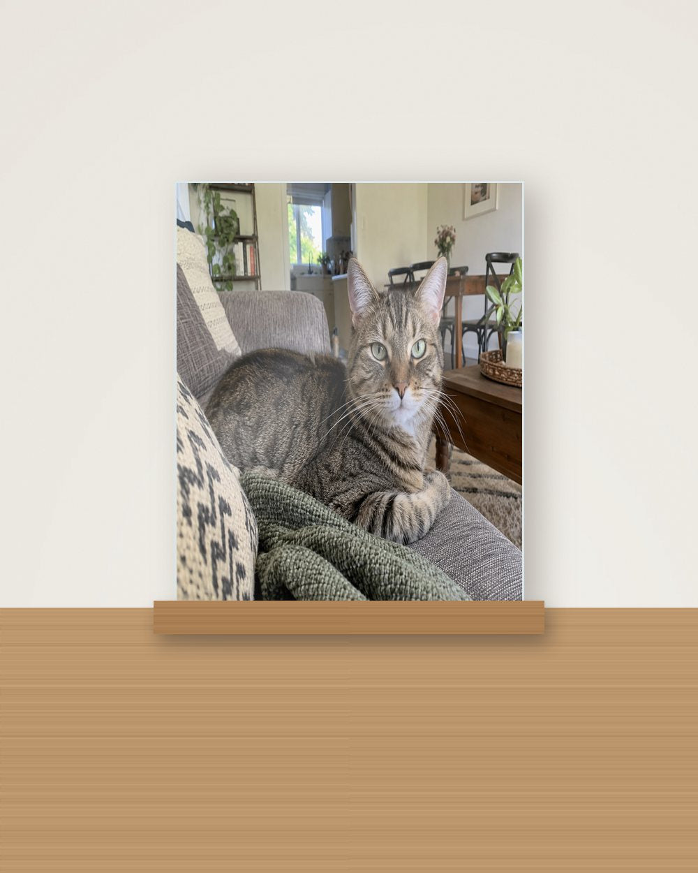 Katzenportrait als Original als Acryl-Aufsteller, Beispiel