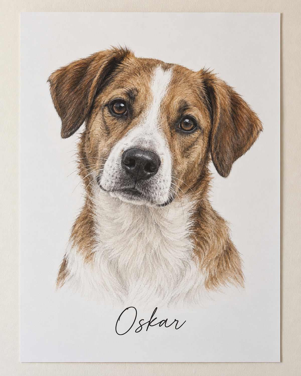 Hundeportrait als Poster: Mischling mit dem Namen Oskar