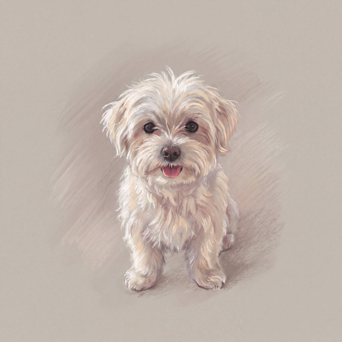 Malteser als Pastell-Portrait
