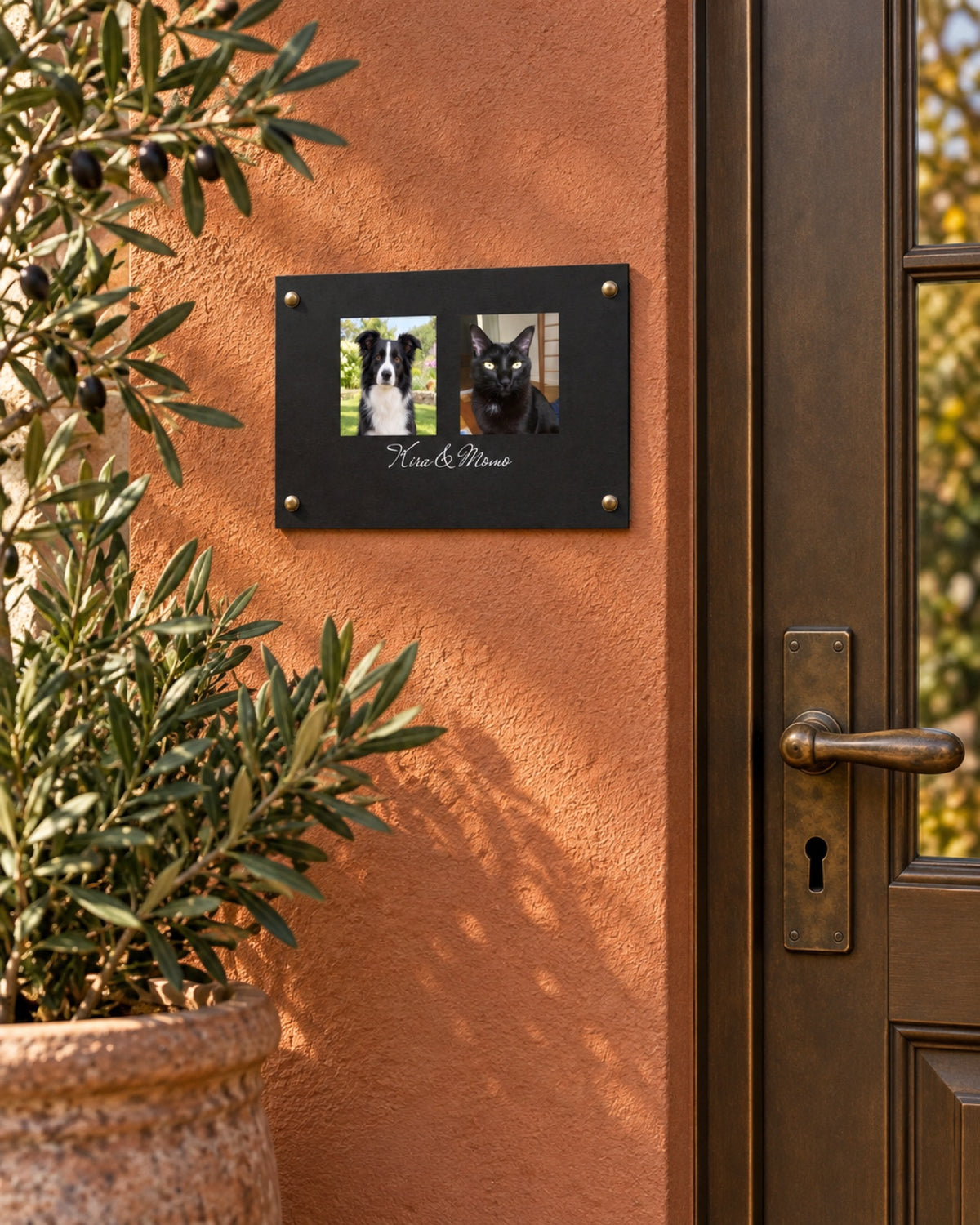 Türschild mit Border Collie Kira und schwarzer Katze Momo an einer terrakottafarbenen Eingangswand im Herbst