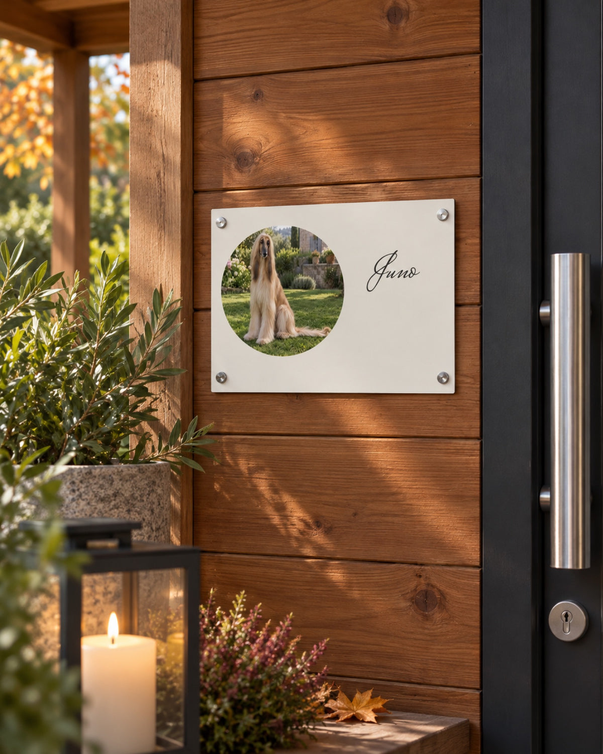 Türschild mit Afghanischem Windhund Juno an einem ruhigen holzverkleideten Erinnerungsplatz im Herbst