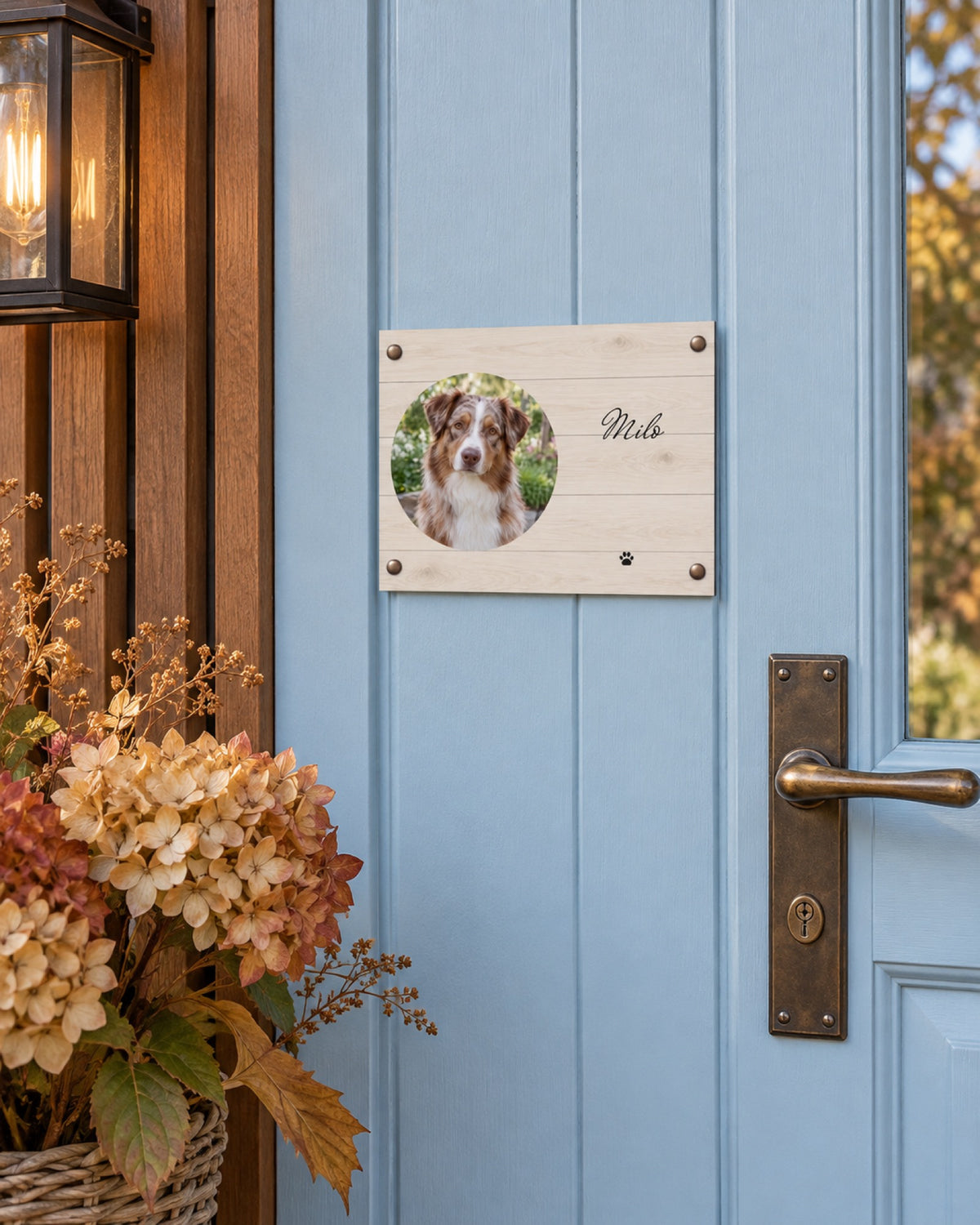 Türschild mit Australian Shepherd Milo an einem blauen Landhauseingang im Herbst